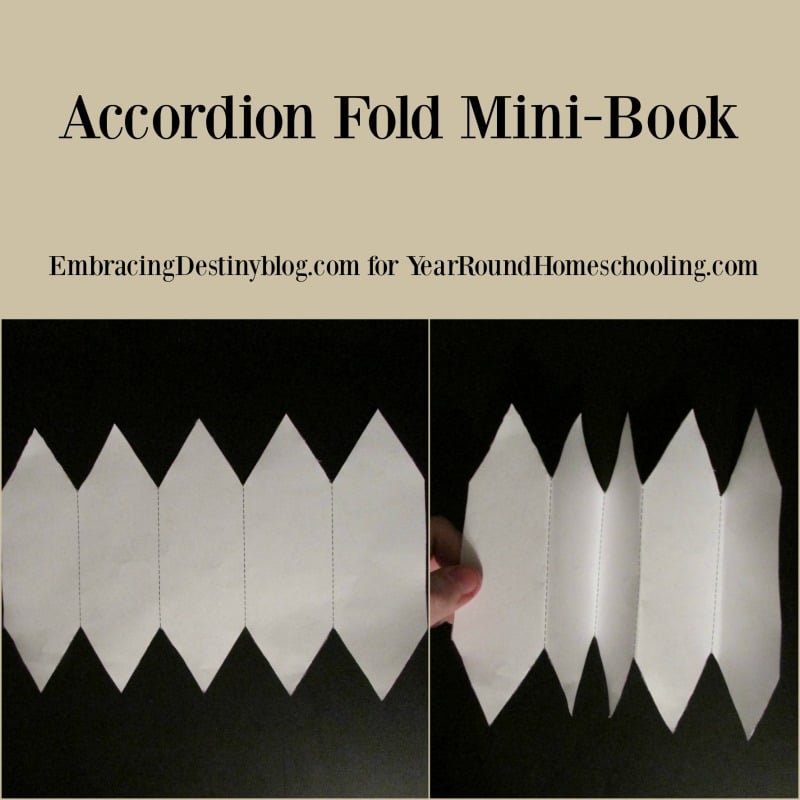 Accordion-minibog til lapbooks