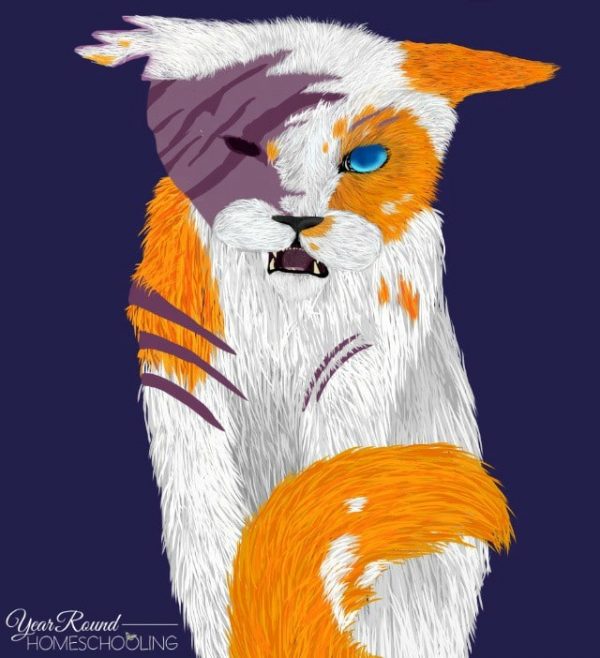 How to Draw a Scarred Cat Using Digital Media Year Round Homeschooling
