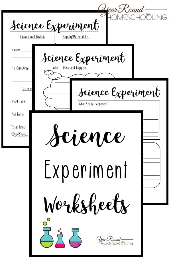 Freebie No Prep Kindergarten Science Doodle Printables Free Science 