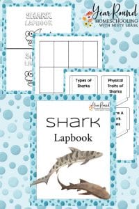 Shark Lapbook - Year Round Homeschooling