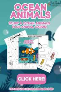 Ocean Animals Study Pack - Year Round Homeschooling