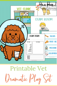 Printable Dramatic Play Veterinarian - Year Round Homeschooling