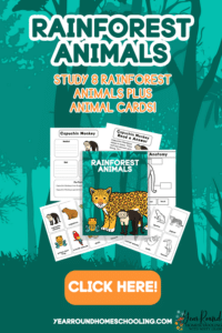 Rainforest Animals Study Pack - Year Round Homeschooling